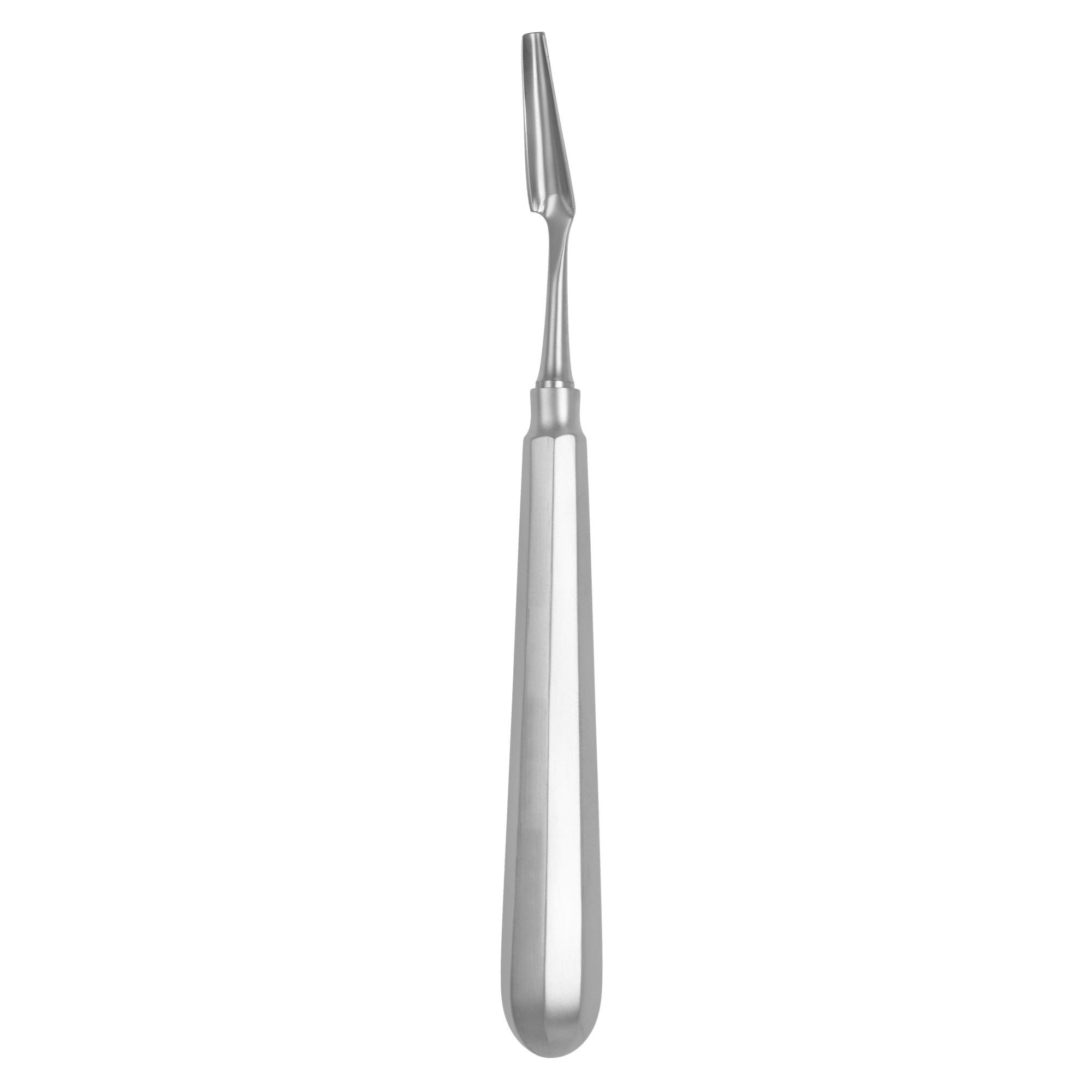 BONE SCOOP